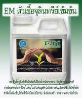 หัวเชื้อจุนลินทรีย์ EM 1ลิตร