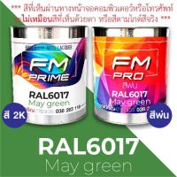 สี RAL6017 May green