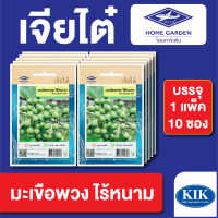 ผักซอง เจียไต๋ CT15 มะเขือพวง ไร้หนาม บรรจุแพ็คล่ะ 10 ซอง ราคา 70 บาท