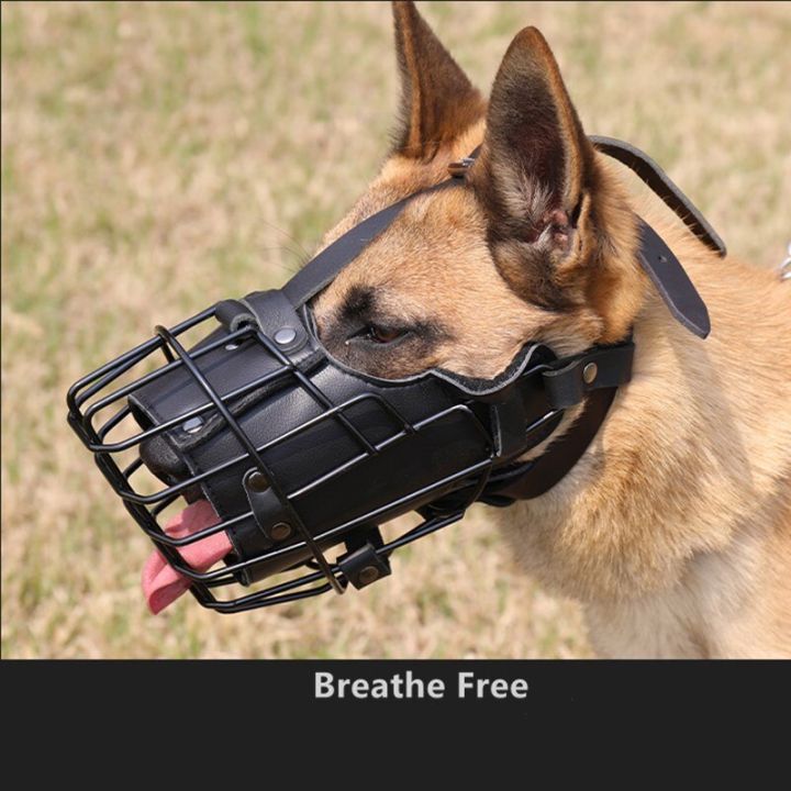 doberman-rotweiler-sniffer-ฝึกสุนัขเยอรมันเชพเพิร์ตตะกร้อสวมปากกระแทกแบบยุทธวิธีป้องกันการกัดเครื่องประดับสุนัขสุนัข
