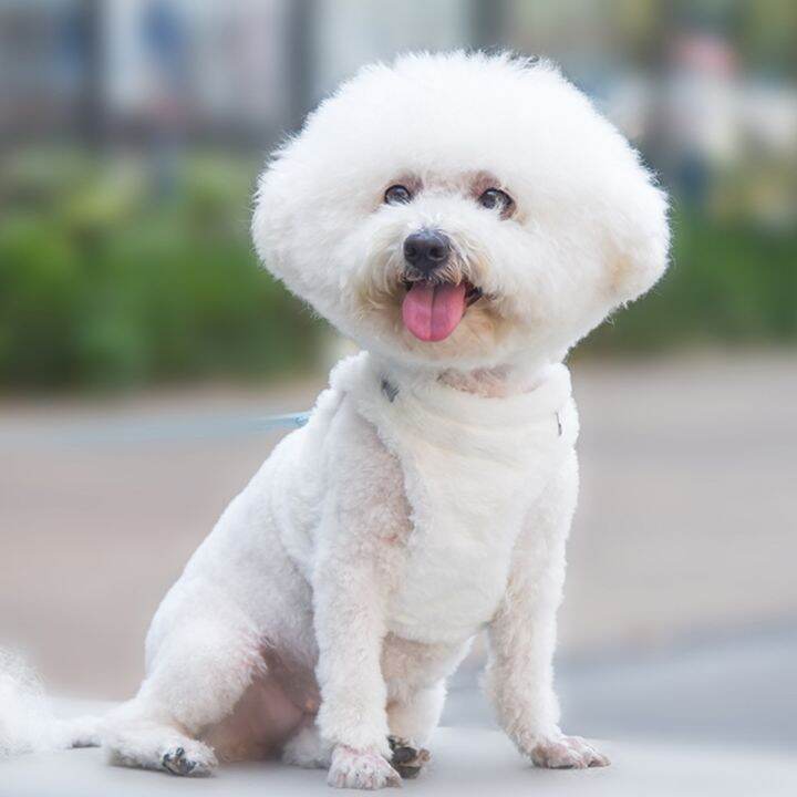 ชุดบังเหียนจูงลูกสุนัขขนและสายจูงแบบหนา-pets-baby-สำหรับลูกสุนัขสัตว์เลี้ยงอุ่นฤดูหนาวชุดสายรัดจูงแมวอุปกรณ์เสริมโซ่บิชอน