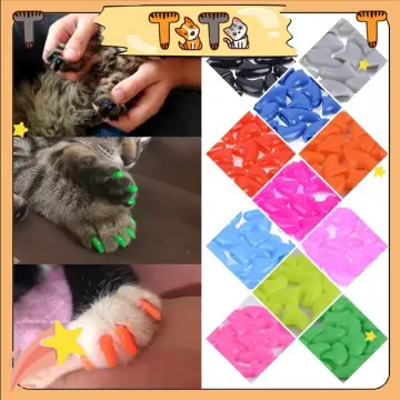 Silicone Cat Nail Caps Tips Colorful Soft Paws Covers for Pet Kitty Claws  20pcs