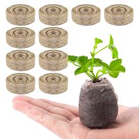 10pcs Peat Pellets Plant Seedling Soil Blocks Starting Plugs Pallet Garden Tools for Indoor Home Gardening Greenhouse