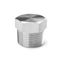 1/8" 1/4" 3/8" 1/2" 3/4" 1" M12 M14 M16 M18 M20 BSP NPT Metric Male 304 316 Stainless Steel Hex Head End Cap Plug Pipe Fitting Pipe Fittings Accessori