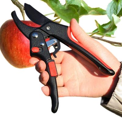 Garden Pruning Shears Garden Scissors Bypass Pruners Fruit Trees Shrubs Cutting Trimming Clippers Non-slip Handle Grafting Tool