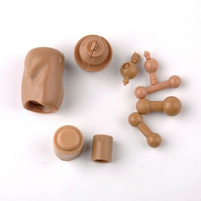 hot！【DT】✁┅  In 1/6 Neck Joint Accessory  9pcs 12  Male Female Figure Dolls