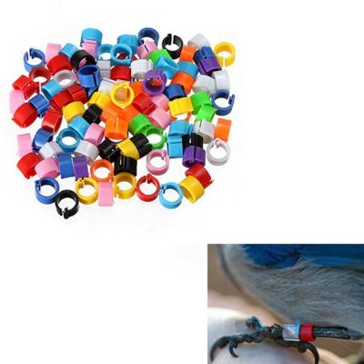 100Pcs Pet Bird Pigeon Parrot Leg Ring Chain Outdoor Flying Training Anti-fly Anti-lost Activity Opening Foot Ring Bird Accessories