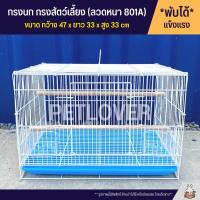 Cage กรงนก ลวดหนา กรงสัตว์เลี้ยง กรงชูก้า กรงกระต่าย กรงกระรอก และสัตว์เลี้ยงอื่นๆ พับได้ พกพาสะดวก (801A)