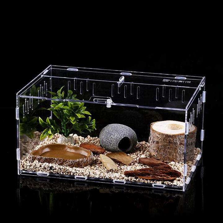 CUTE Spider Professional Snakes Hatcher Feeding Box Lizard Insect ...