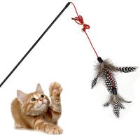 【Sell-Well】 PETS MART mall 1Pcs Pet Cat ของเล่นออกแบบน่ารัก Bird Feather Teaser Wand ของเล่นพลาสติกสำหรับ Feather Toys