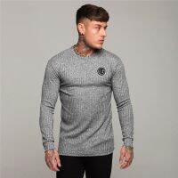 Autumn Breathable Comfortable Fashion Knitted Muscle T-shirt Mens Slim Long Sleeve Vertical Stripes Gym Fitness Casual Pullovers