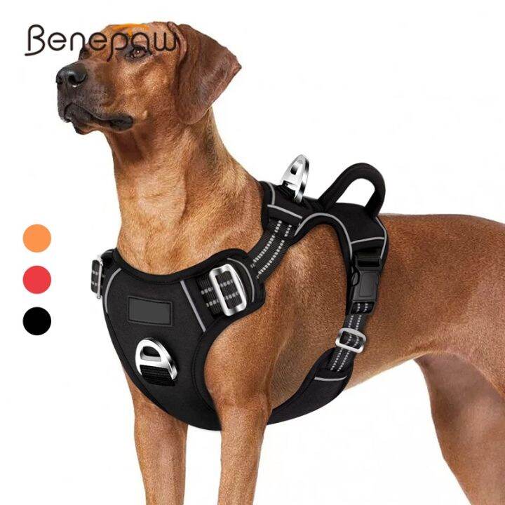 Dog best sale harness lazada