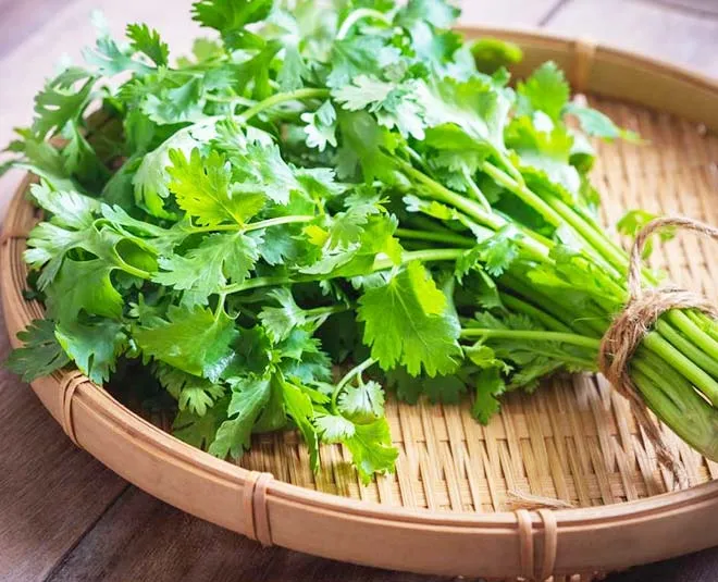 Coriander / Cilantro / Wansoy 10grams Herb Seeds Vegetables Supplies