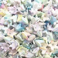 ☢ 20pcs/lot 13x16mm Gradual Change Acrylic Lilies Beads Caps Jewelry Findings Charms Bracelets Spacer Beads for Jewelry Making