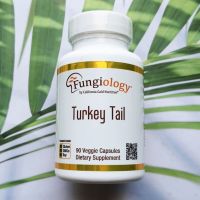 Turkey Tail เห็ดหางไก่งวง (Coriolus Versicolor) Full-Spectrum, Certified Organic, Cellular Support, 90 Veggie Capsules (Fungiology®)