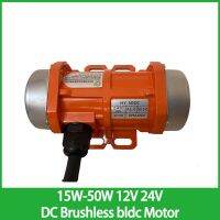 15W-50W 12V 24V DC Brushless bldc ​Motor Electric Vibration Engine Concrete Vibrator High Frequency Vibrator Eccentric Electric Motors