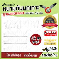 (โปรโมชั่นซื้อ 6 แถม 6) หนามกันนกเกาะแบบเส้นฐาน (stainless) (x12ชิ้น) (ได้ฐานทั้งหมด 12 ชิ้น) อุปกรณ์ไล่นก สำหรับผู้มีปัญหานก หนามกันนก ไล่นกกันนก