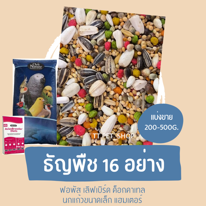 ธัญพืช-16-อย่าง-แบ่งขาย-500g-1kg-อาหารสำหรับฟอพัส-เลิฟเบิร์ด-ค็อกคาเทล