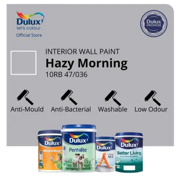 Buy Dulux Paint in SG January, 2024