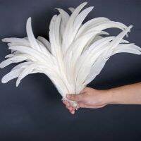 50 Pcs/Lot Natural Cock Rooster Tail Feathers for Festival Stage Performance Decoration plume 25-40cm 10-16 inch Dyed Various