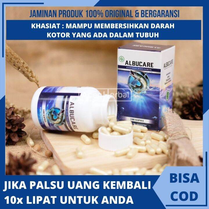 Obat Pembersih Darah Vitamin Untuk Darah Kotor Membersihkan Darah