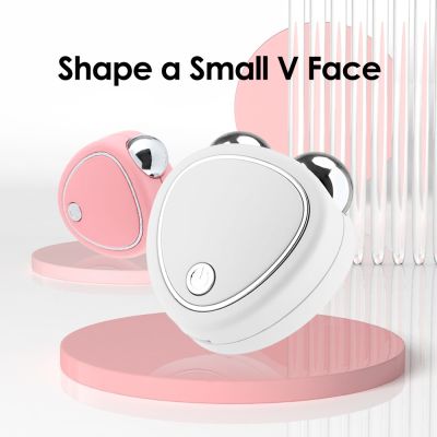 EMS Facial Micro-Current Beauty Instrument Portable Lifting Skin Face-Lifting Edema Double Roller Massager Face Massager Tools