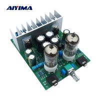 AIYIMA 6J1 Tube Preamplifier Audio Board LM1875T Power Amplifier 30W Preamp Bile Buffer Headphones AMP DIY Kits