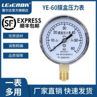 ► Raelda instrument membrane box pressure gauge YE60 micro kilopameter natural gas pipeline