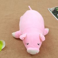 [In stock] หมูสีชมพูน่ารักพ่อหมูตุ๊กตาของเล่นตุ๊กตางีบหลับทารกหมูนอนหมอน