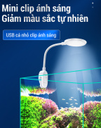Đèn bể cá đèn LED rơm xe tăng đèn nhỏ không thấm nước tiết kiệm năng lượng
