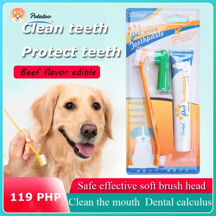 4 In 1 Pet supplies Cat Dog toothbrush Toothpaste Set mouth cleaning ...