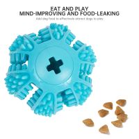 【YF】۩♦☋  Dog Interactive Rubber Balls for Small Large Dogs Chewing Cleaning Indestructible Food