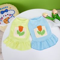 Puppy New Rose Dress Pet Clothing Cute Dog Clothes Waffle Pocket Skirt Cool Summer Dress Bichon Breathable Jumper Dresses