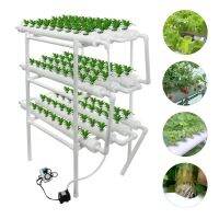 [hot]❄┋❒  Holes Pipe NFT Indoor Planting System Hydroponic Rack