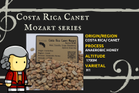 พร้อมส่ง เมล็ดกาแฟดิบ Costa Rica Canet Mozart Musician Series Anaerobic honey process/ เมล็ดกาแฟ นักดนตรี/ เมล็ดกาแฟสารคอสตาริกา