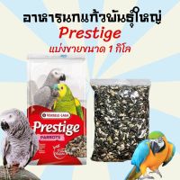 HOT** อาหารนก อาหารนกแก้ว ขนมนก ขนมนกแก้ว Presitge Parrot A อาหารนกตระกูลนกแก้ว เกรด A ขนาด 1 กิโลกรัม ส่งด่วน อาหาร นก อาหารนกหัวจุก อาหารนกแก้ว อาหารหงส์หยก