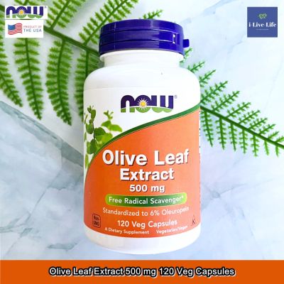 Now Foods - Olive Leaf Extract 500 mg 120 Veg Capsules สารสกัดจากใบมะกอก ใบโอลีฟ