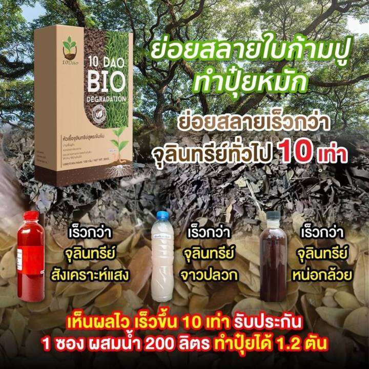 ส่งฟรี-10ดาว-ไบโอจุลินทรีย์-10-dao-bio-3-ซอง-ช่วยย่อยสลายฟาง-สสายหญ้า-ตอซังข้าว-กองใบไม้-หัวเชื้อจุลินทรีย์