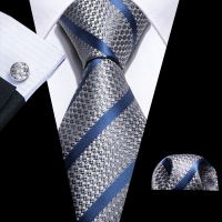 Fashion Men Tie Set Silk Blue Silver Gray Striped Necktie Handkerchief Cufflinks Barry. Wang Tie Pin Brooches Designer FA-5915