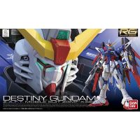 Bandai RG Destiny Gundam 4543112815958 4573102616166