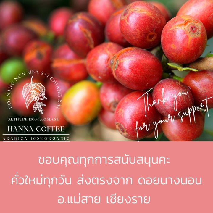 เมล็ดกาแฟคั่วอ่อน-ดอยนางนอน-เชียงราย-arabica-100-เกรด-a-peaberry-250g-hanna-coffee