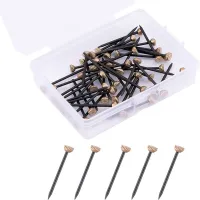 50pcs Picture Hanging Nail Carbon Steel Fastener With Storage Box For Clock Plaster Board Hook Painting Vintage Frame Hardware