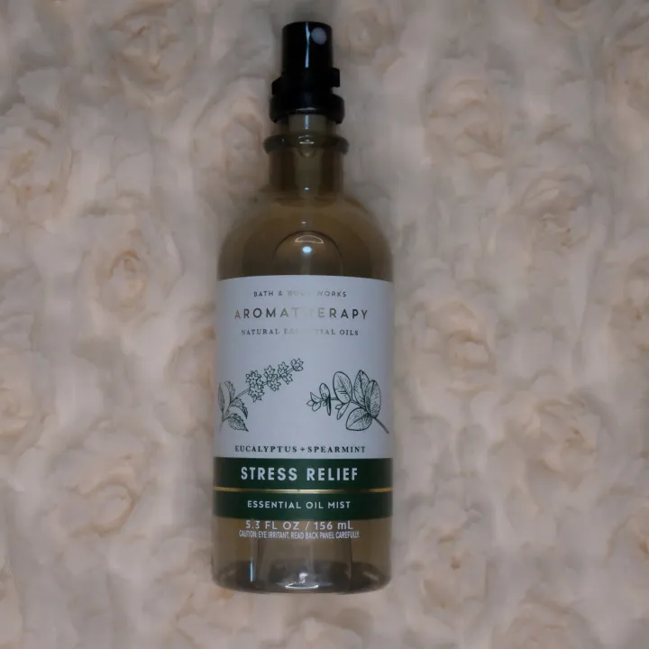 Bath & Body Works Aromatherapy Eucalyptus & Spearmint Stress Relief