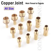 2pcs Brass Pipe Fittings Male Thread to Pagoda Copper Joint 4/6 50mm Hose Barb TO 1/8 2 BSP Male Connector Gas Hose Joint