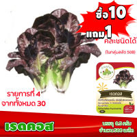 (ซื้อ10แถม1 ฟรีคู่มือ) เมล็ดพันธุ์ เรดคอส RED COS 0.5กรัม (ประมาณ 500เมล็ด) ทำมะชาดฟาร์ม ผักสลัด เมล็ดพันธุ์สลัด เมล็ดสลัด เม็ดผักสลัด