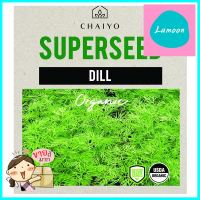 เมล็ดพันธุ์ผักชีลาว ชัยโย 250 เมล็ดDILL (ORGANIC) 250 SEEDS **ราคารวม Vat แล้วค่ะ ไม่มีบวกเพิ่ม**