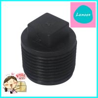 ปลั๊กอุดเกลียวนอก TOWAI 1 นิ้วPP END PLUG FITTING MPT TOWAI 1IN **สินค้าแนะนำ**