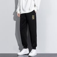 [COD] 2022 new striped all-match handsome trousers mens spring and autumn loose sports casual trendy