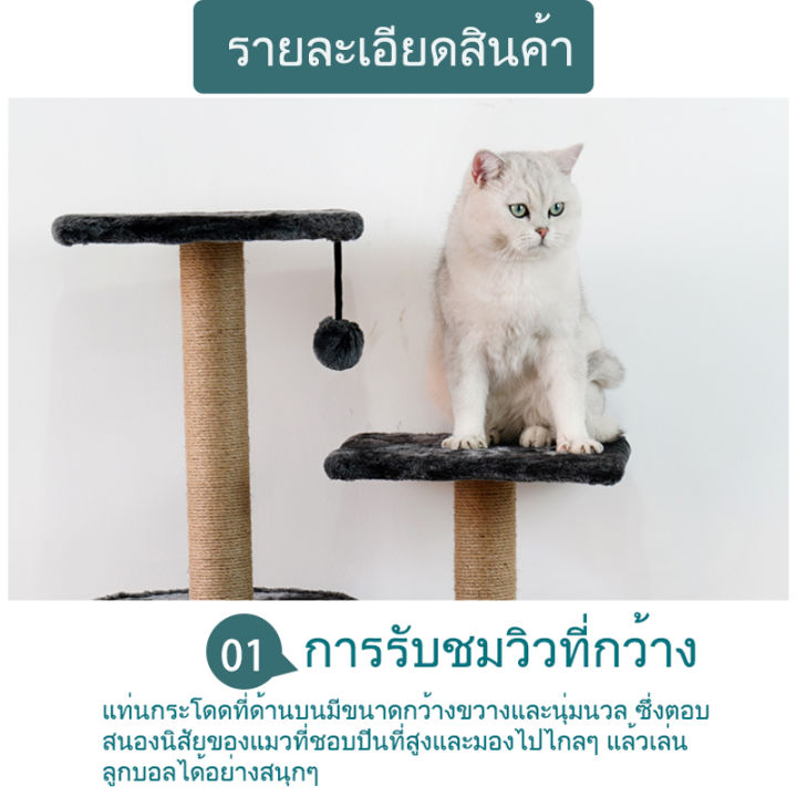 annie-store-คอนโดแมว-คอนโดแมวขนาดใหญ่-คอนโดแมวราคาถูก-เตียงแมว-คอนโดแมว-คอนโดแมวสูง-cat-climbing-frame