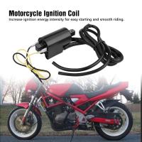 2PCS Ignition Coil Motorcycle Ignition Coil for GSF400 GSF600 GSF1200 Bandit